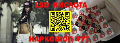 дживик Сланцы